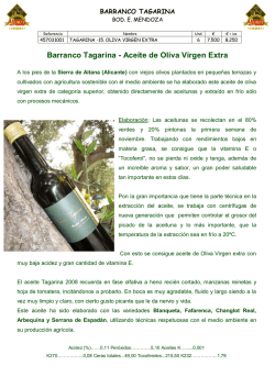 Barranco Tagarina - Aceite de Oliva Virgen Extra