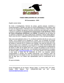 FONDO EMBAJADORES DE LAS NUBES VII Convocatoria &ndash; 2015