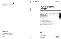 Video Graphic Printer