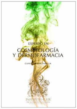 Descargar PDF del Curso