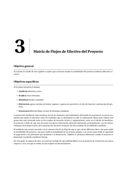 Cap&iacute;tulo 3: Matriz de Flujos de Efectivo del Proyecto.