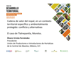 Cadena de valor del nopal, en un contexto territorial espec&iacute;fico y