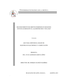 reconocimiento de objetos inmersos en imagenes estaticas