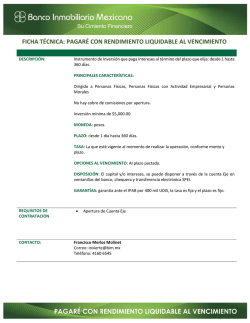 ficha t&eacute;cnica: pagar&eacute; con rendimiento liquidable al vencimiento