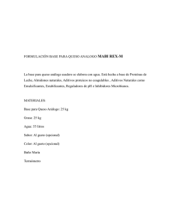 FORMULACI&Oacute;N BASE PARA QUESO ANALOGO MABI REX