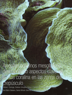 Arrecifes coralinos mesof&oacute;ticos: descubriendo aspectos clave de la