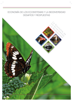 econom&iacute;a de los ecosistemas y la biodiversidad desaf&iacute;os y respuestas
