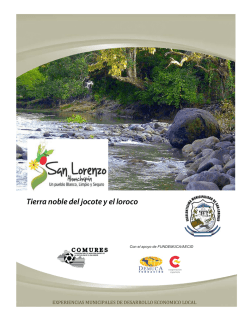 Tierra noble del jocote y el loroco