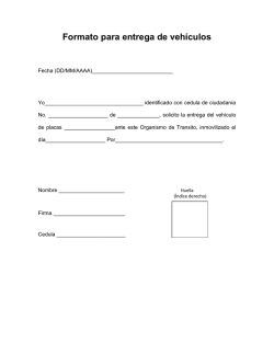 Formato para entrega de veh&iacute;culos