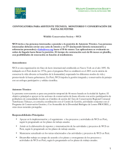 1 CONVOCATORIA PARA ASISTENTE T&Eacute;CNICO, MONITOREO Y