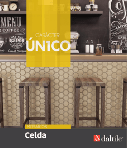 Folleto del producto Ficha T&eacute;cnica