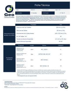 Ficha tecnica Geoceldas NeoWEB B