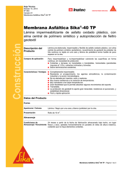 Construcci&oacute;n - Sika Paraguay