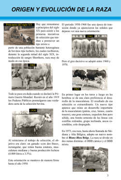 ORIGEN Y EVOLUCI&Oacute;N DE LA RAZA