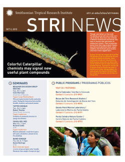 Colorful Caterpillar chemists may signal new useful plant compounds