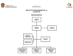 INSTITUTO MEXIQUENSE DE LA JUVENTUD ORGANIGRAMA