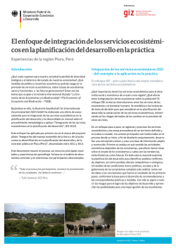 El enfoque de integraci&oacute;n de los servicios ecosist&eacute;micos en la