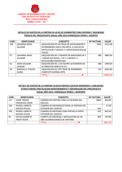 DETALLE DE GASTOS DE LA PARTIDA 53.10.02 DE SUMINISTRO