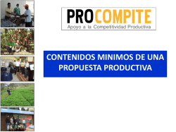 1. la idea de la propuesta productiva
