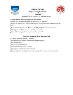 GU&Iacute;A DE ESTUDIO