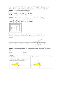 TEMA 1 &ndash; EL N&Uacute;MERO REAL CLASIFICACI&Oacute;N Y