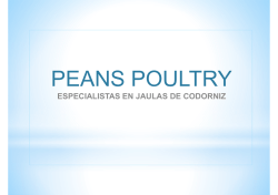 Presentaci&oacute;n codornices espa&ntilde;ol