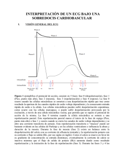 interpretaci&oacute;n de un ecg bajo una sobredocis cardiobascular