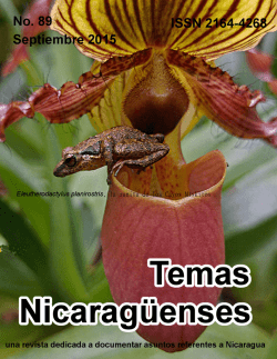 89 - Revista de Temas Nicarag&uuml;enses