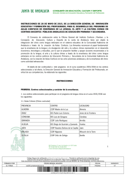 instrucciones de 28 de mayo de 2015, de la direcci&oacute;n general de