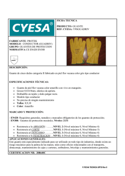 FICHA TECNICA PRODUCTO: GUANTE REF. CYESA