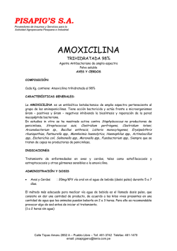 AMOXICILINA