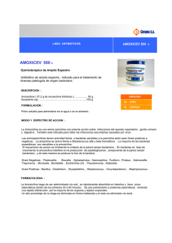 AMOXICEV 500