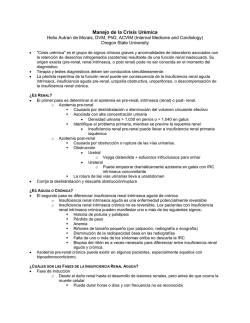 Manejo de la Crisis Ur&eacute;mica