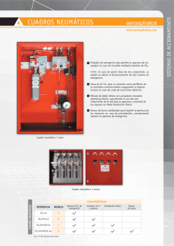 CUADROS NEUM&Aacute;TICOS