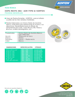 Ficha Tecnica - piedras esmeriles - copa recta 38 - a