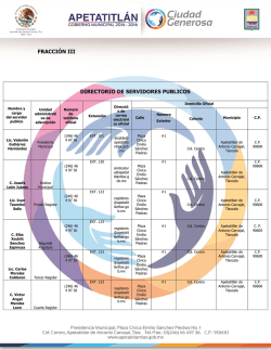 fracci&oacute;n iii directorio de servidores publicos