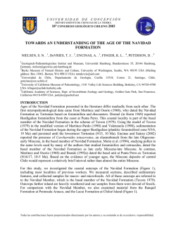 Problemas de dataci&oacute;n de la Formaci&oacute;n Navidad y possibles