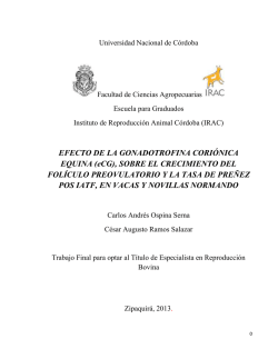 EFECTO DE LA GONADOTROFINA CORI&Oacute;NICA EQUINA