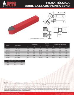 FICHA T&Eacute;CNICA BURIL CALZADO PUNTA 80&ordm; D