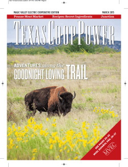 March 2015 - Magic Valley Electric Cooperative, Inc.