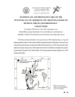 maximum age and provenance area of the puncoviscana fm
