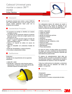 Casco de Seguridad
