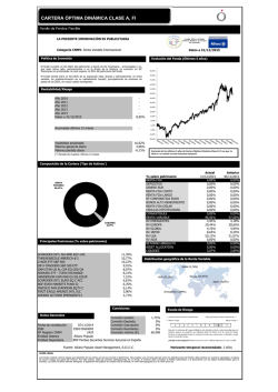 CARTERA &Oacute;PTIMA DIN&Aacute;MICA CLASE A, FI