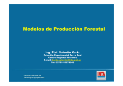 Pasto Jesuita Gigante