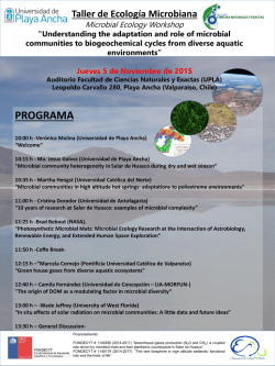 Presentaci&oacute;n de PowerPoint