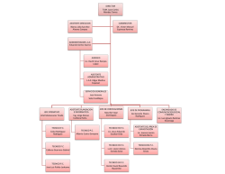 DIRECTOR TUM. Juan Carlos Mendez Torres JEFE OPERATIVO