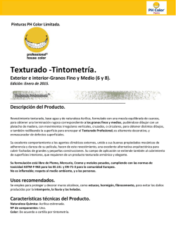 Texturado -Tintometr&iacute;a.