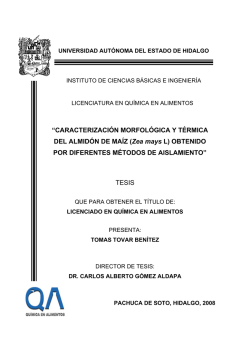 Caracterizacion morfologica y termica almidon de maiz
