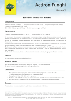 Actiron Funghi