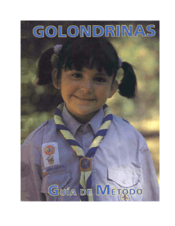 GUIAS Y SCOUTS DE CHILE